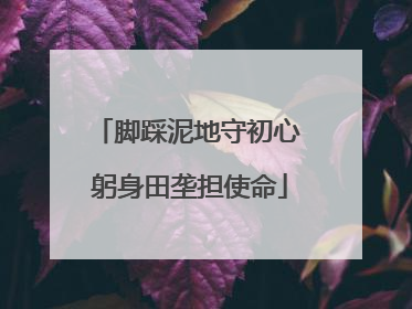 脚踩泥地守初心 躬身田垄担使命